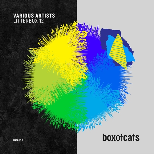 VA - Litterbox 12 [BOC142DJ]